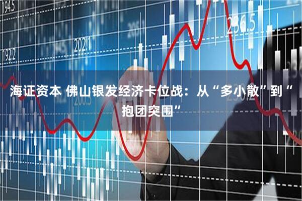 海证资本 佛山银发经济卡位战：从“多小散”到“抱团突围”
