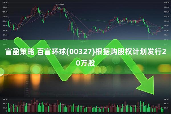 富盈策略 百富环球(00327)根据购股权计划发行20万股